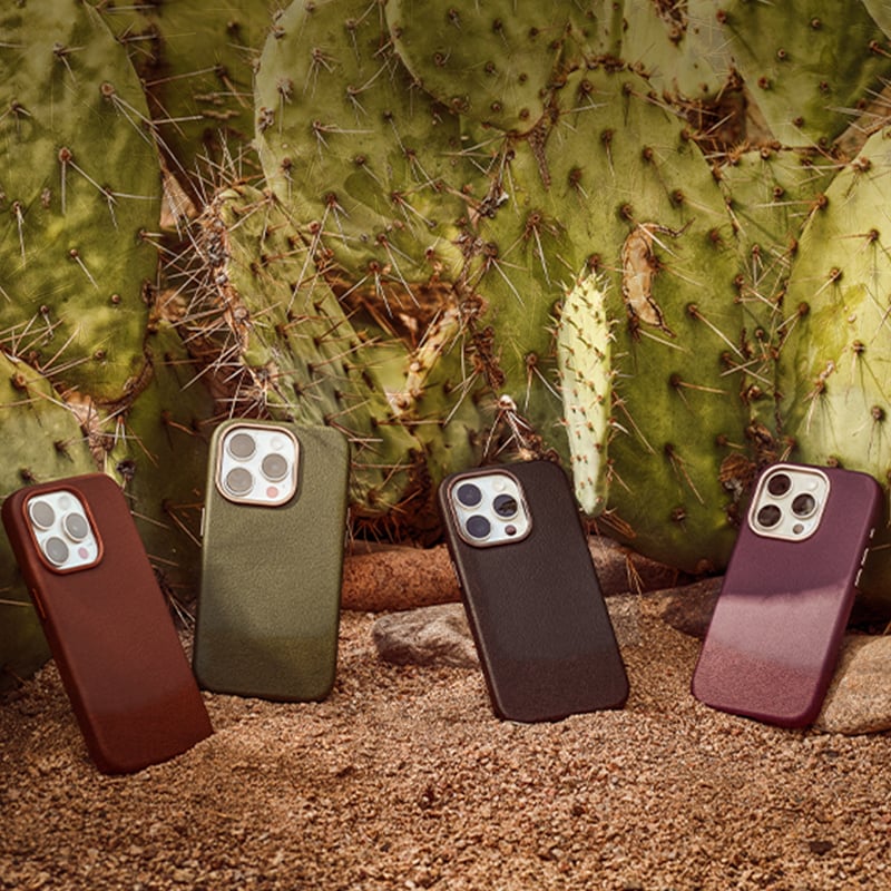 (image for) Cactus Collection